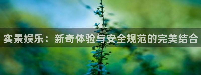 彩虹多多2代理注册：实景娱乐：新奇体验与安全规范的完美结合