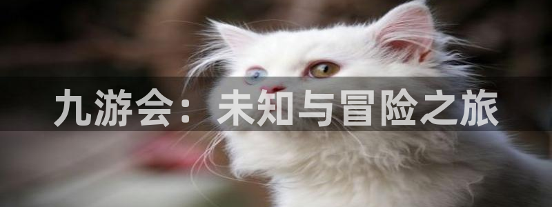 彩虹多多凯捷平台：九游会：未知与冒险之旅