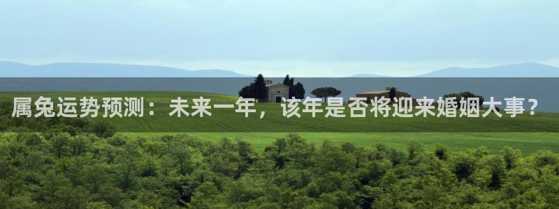 彩虹多多体育凯捷代理注册：属兔运势预测：未来一年，该年是否将迎来婚姻大事？