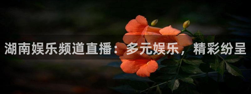彩虹多多vk：湖南娱乐频道直播：多元娱乐，精彩纷呈