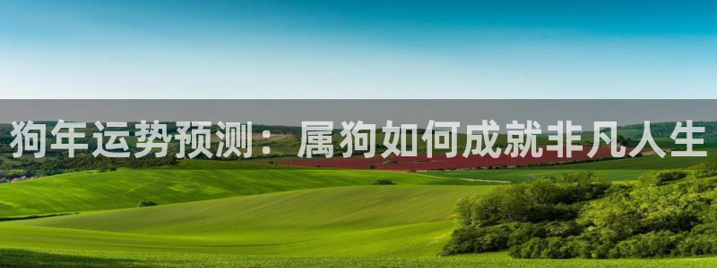 彩虹多多招商：狗年运势预测：属狗如何成就非凡人生