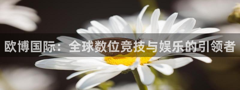 彩虹多多4：欧博国际：全球数位竞技与娱乐的引领者