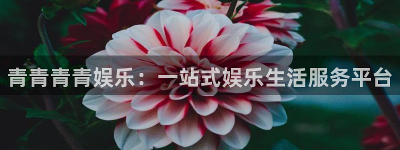 彩虹多多平台开户：青青青青娱乐：一站式娱乐生活服务平台