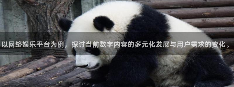 彩虹多多体育官网入口登录：以网络娱乐平台为例，探讨当前数字内容的多元化发展与用户需求的变化。