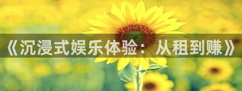 彩虹多多4平台：《沉浸式娱乐体验：从租到赚》