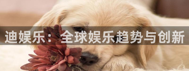 彩虹多多体育注册：迪娱乐：全球娱乐趋势与创新