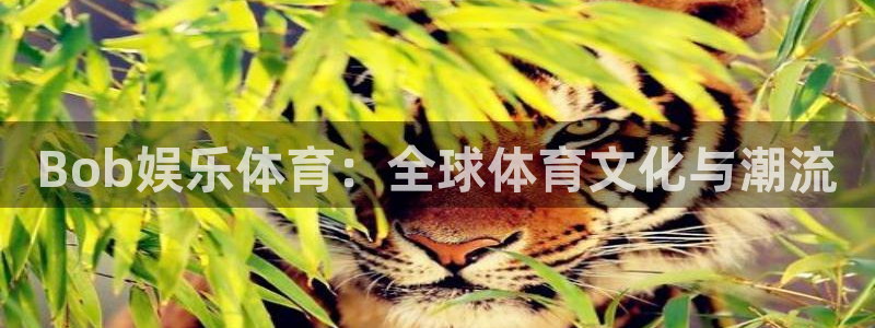 彩虹多多主管：Bob娱乐体育：全球体育文化与潮流