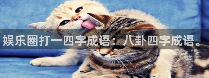 彩虹多多股份：娱乐圈打一四字成语：八卦四字成语。