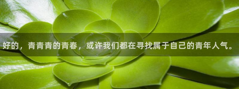彩虹多多3登录：好的，青青青的青春，或许我们都在寻找属于自己的青年人气。