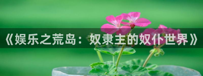 彩虹多多体育f开户