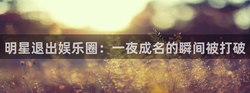 彩虹多多2登录入口：明星退出娱乐圈：一夜成名的瞬间被打破
