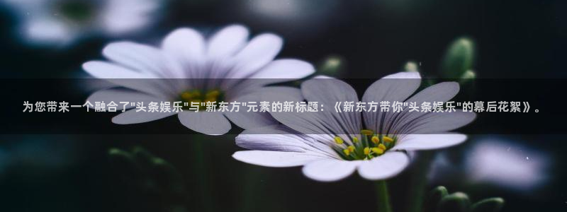 彩虹多多登录注册：为您带来一个融合了\