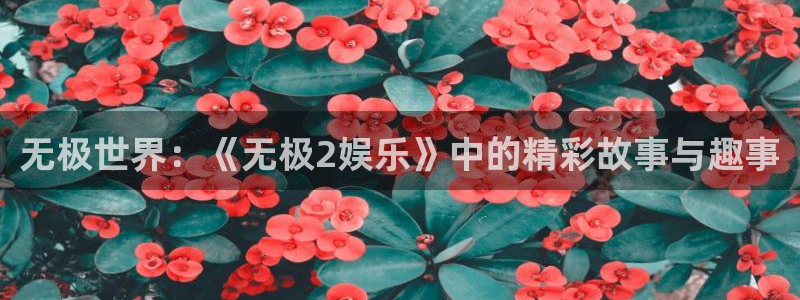 彩虹多多f凯捷注册：无极世界：《无极2娱乐》中的精彩故事与趣事