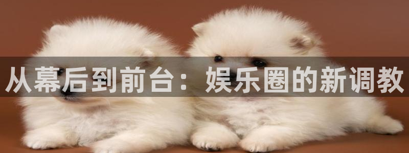 彩虹多多集团总部：从幕后到前台：娱乐圈的新调教