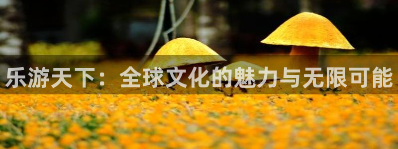 彩虹多多平台主管：乐游天下：全球文化的魅力与无限可能