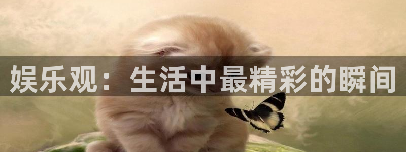 彩虹多多凯捷开号链接