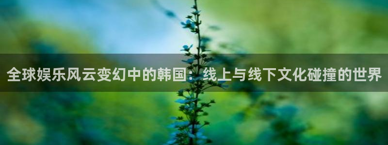 彩虹多多主管：全球娱乐风云变幻中的韩国：线上与线下文化碰撞的世界