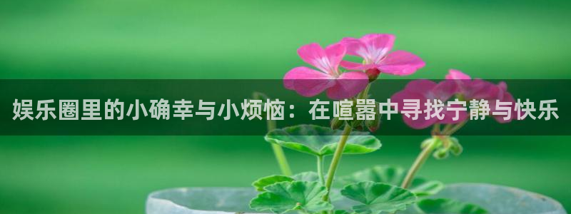 彩虹多多4平台：娱乐圈里的小确幸与小烦恼：在喧嚣中寻找宁静与快乐