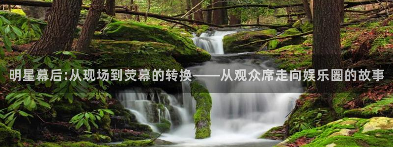 成都彩虹多多电子有限公司：明星幕后:从现场到荧幕的转换——从观众席走向娱乐圈的故事
