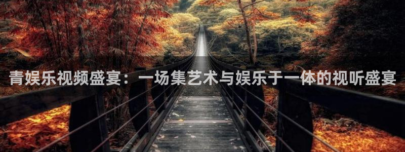 彩虹多多体育代理：青娱乐视频盛宴：一场集艺术与娱乐于一体的视听盛宴