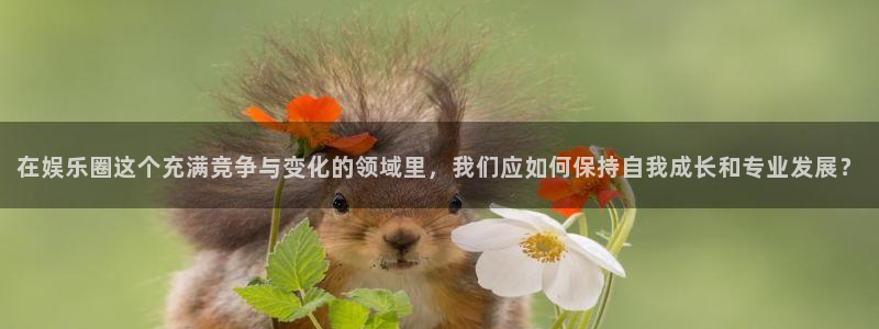 彩虹多多3注册：在娱乐圈这个充满竞争与变化的领域里，我们应如何保持自我成长和专业发展？