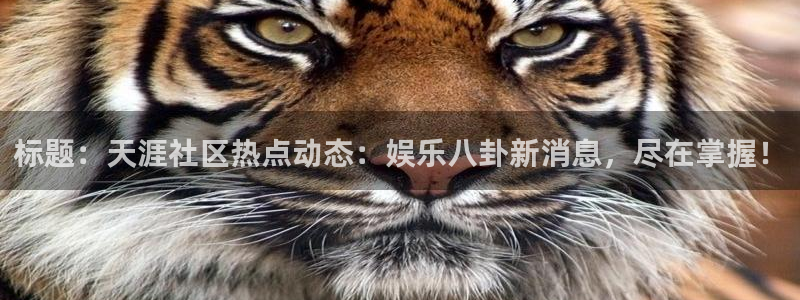 彩虹多多4开户：标题：天涯社区热点动态：娱乐八卦新消息，尽在掌握！