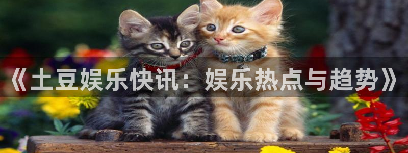 彩虹多多体育注册代理：《土豆娱乐快讯：娱乐热点与趋势》