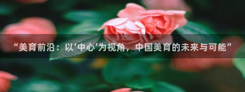 彩虹多多体育代理申请流程：“美育前沿：以‘中心’为视角，中国美育的未来与可能”