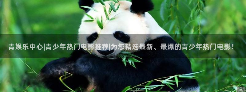 上海彩虹多多汽车电子有限公司：青娱乐中心|青少年热门电影推荐|为您精选最新、最爆的青少年热门电影！