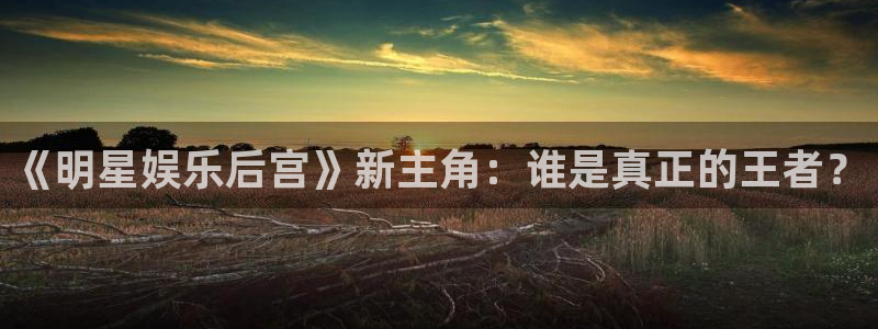 彩虹多多体育免费注册入口：《明星娱乐后宫》新主角：谁是真正的王者？