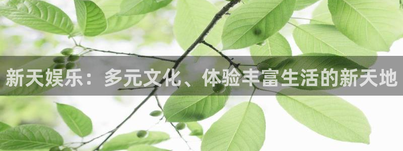 彩虹多多：新天娱乐：多元文化、体验丰富生活的新天地