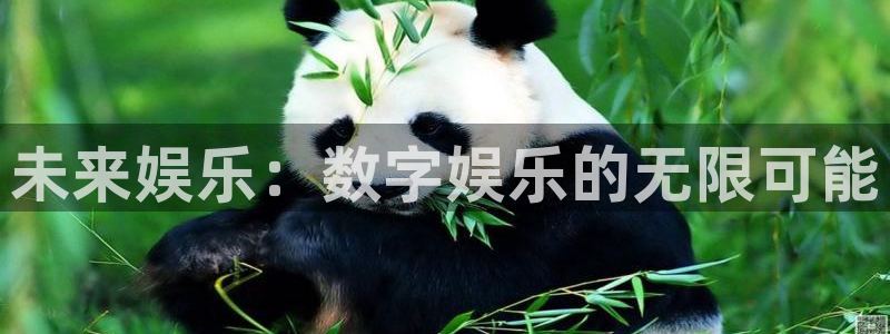 彩虹多多2注册：未来娱乐：数字娱乐的无限可能