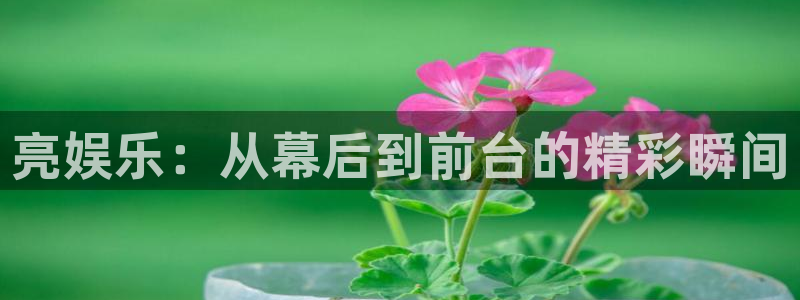 彩虹多多2体育：亮娱乐：从幕后到前台的精彩瞬间