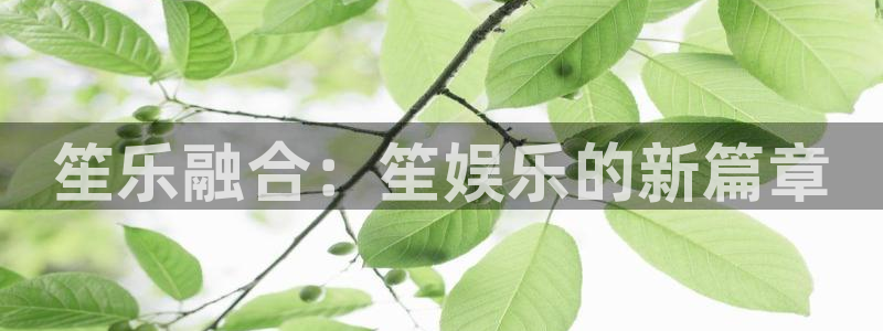 彩虹多多3平台登录注册：笙乐融合：笙娱乐的新篇章